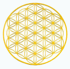 La Fleur de Vie ou Fruit de Vie   est un symbole puissant de la géométrie sacrée et des ondes de forme. Ses proportions et dimensions sont calculées sur la base du  nombre d'or  et de la suite de Fibonacci qui régissent la plupart des règles du vivant et de l'univers. On la retrouvé dans l'ADN, les cellules vivantes et la structure des minéraux